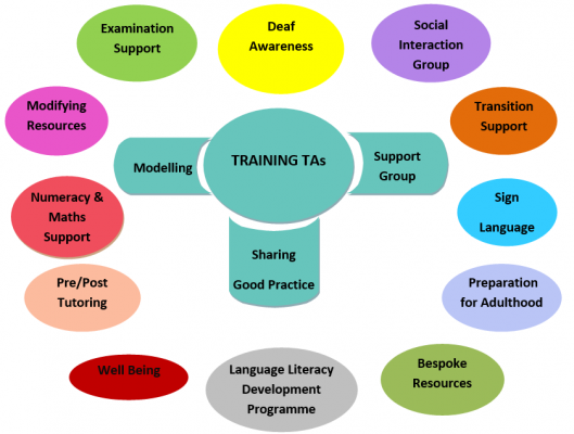 The Hearing Support Teams TA's training model