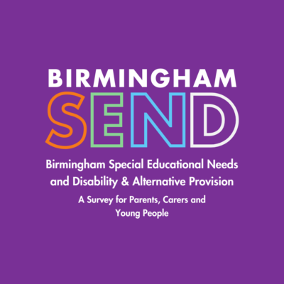 Special Educational Needs and Disabilities, and Alternative Provision - a survey for young people