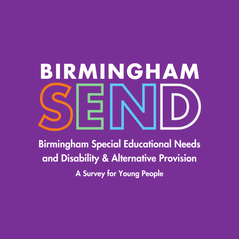 Special Educational Needs and Disabilities, and Alternative Provision - a survey for young people